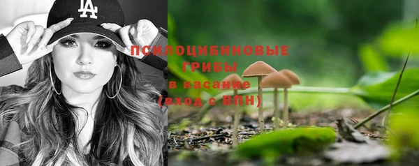 круглые Богданович