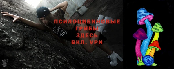 ALPHA PVP Строитель