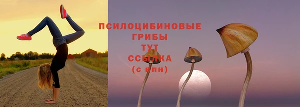 бошки Богородск